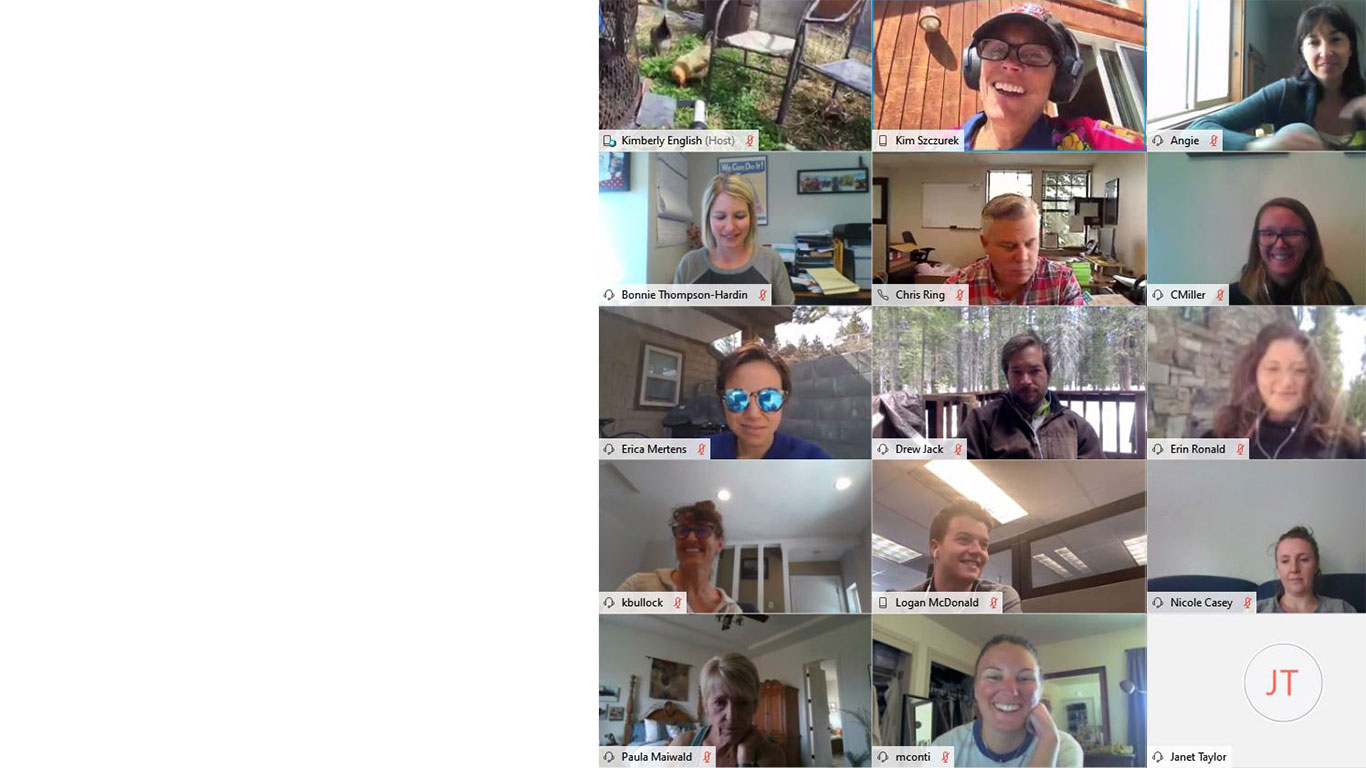 COVID silver lining- remote meeting image