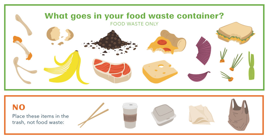 graphic showing what goes in your food waste container