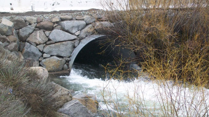 Coldstream Culvert Replacement and Restoration
