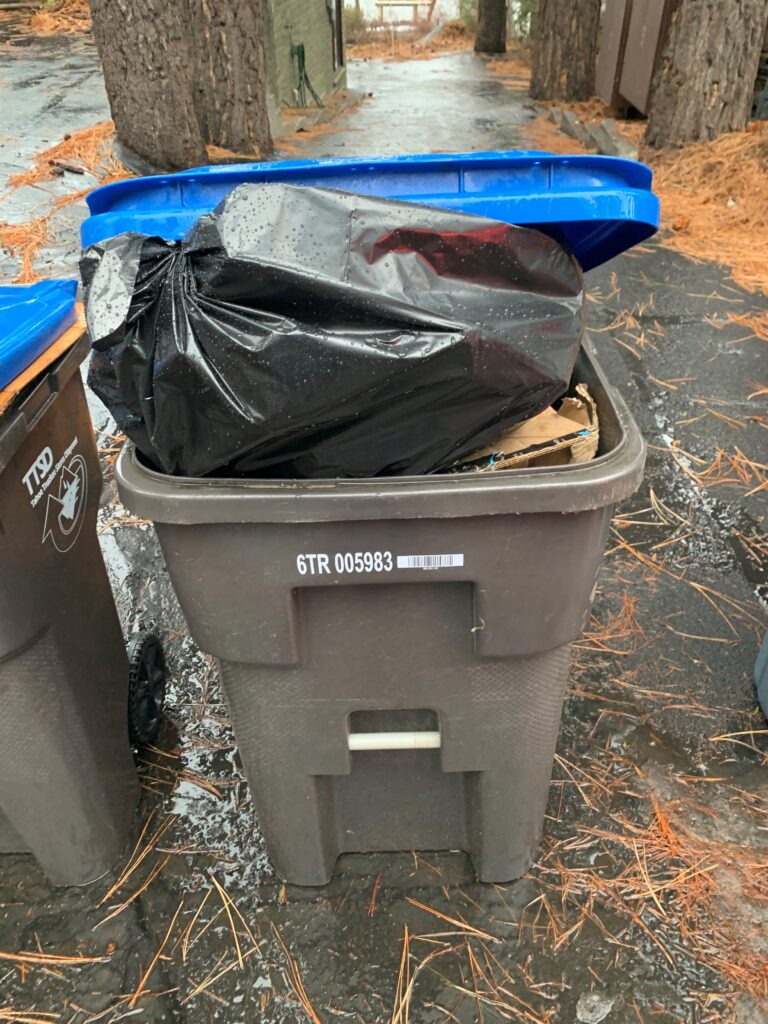 photo of blue recycle cart with black plastic bag inside