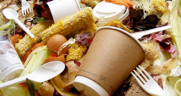 Vegware_compost_1002_foodwaste.jpg (1) image
