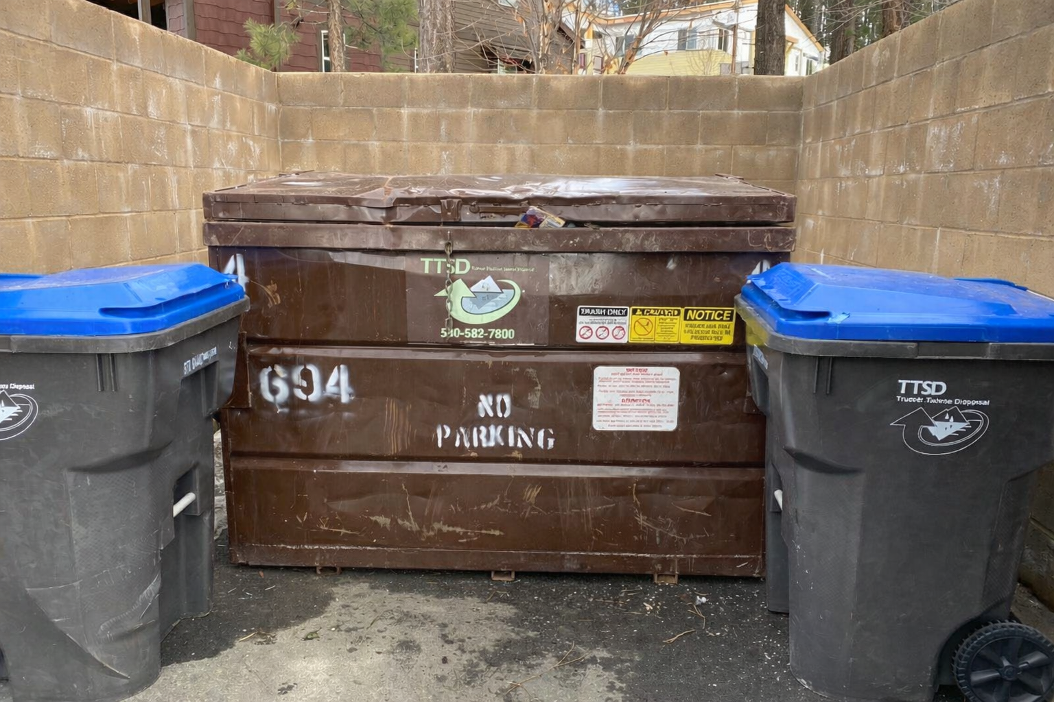 Dumpster and Carts-2 image